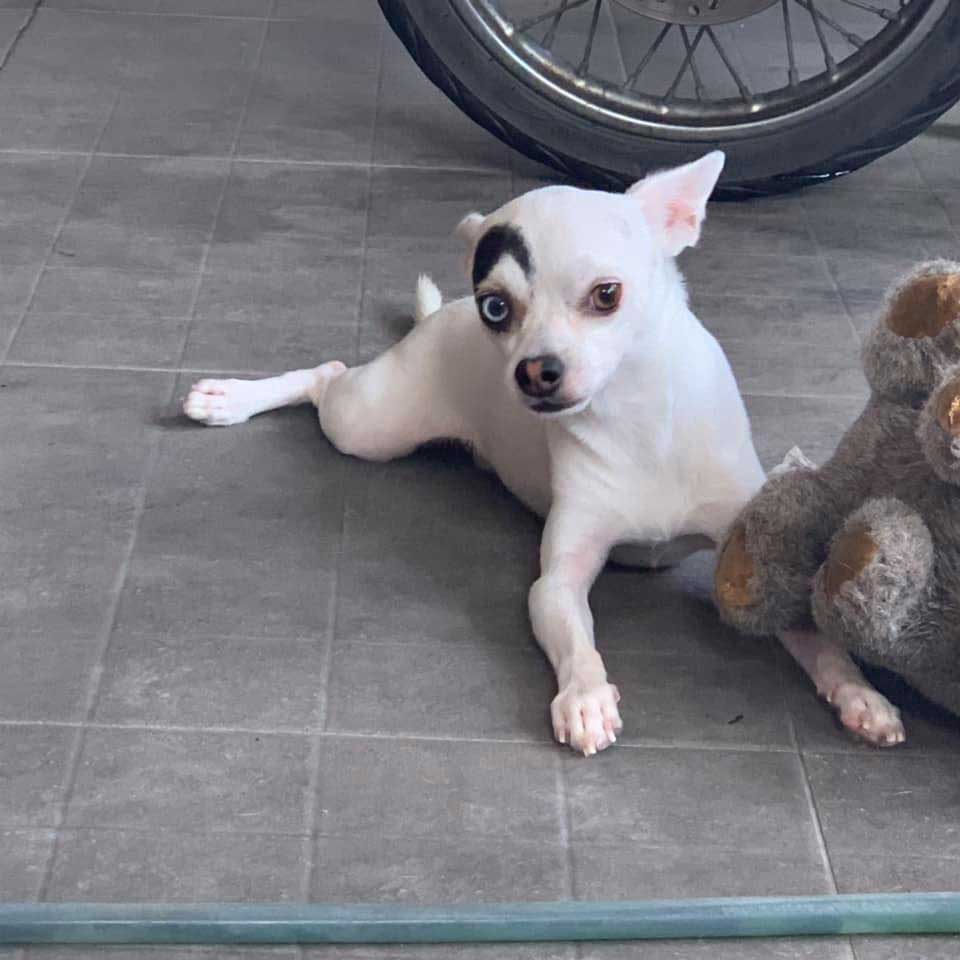 Lucky and his bear