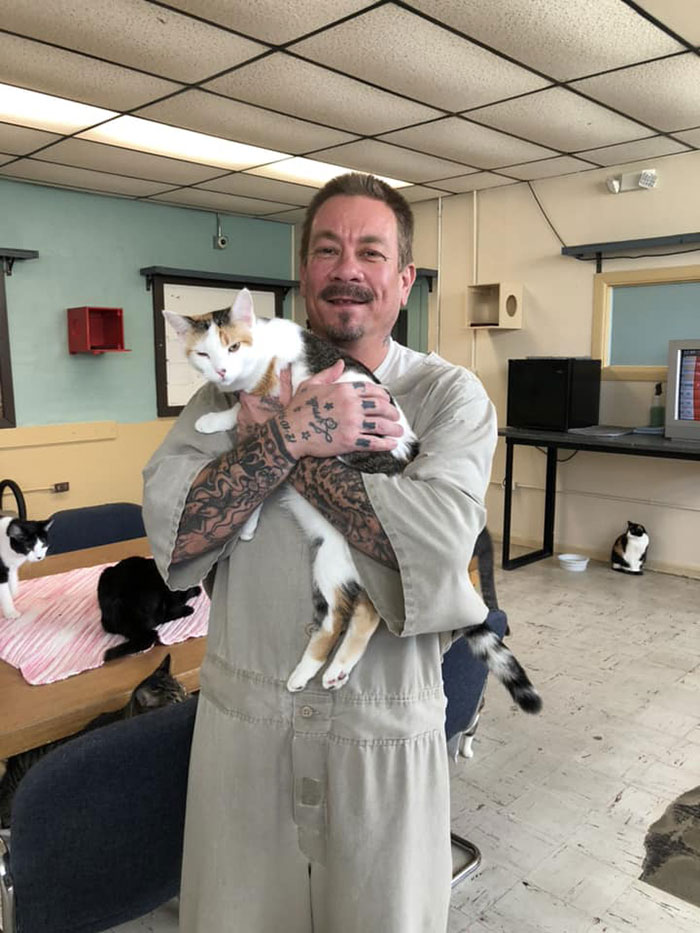 Prison Indiana Accepts Shelter Cats