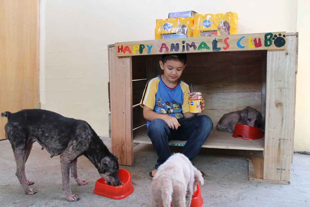 Ken Amante happy animals club stray animals shelter pocket money dream  
