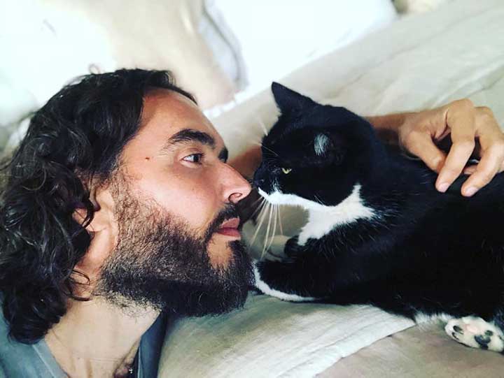 Celebrities Cats Russell Brand cat Morrissey