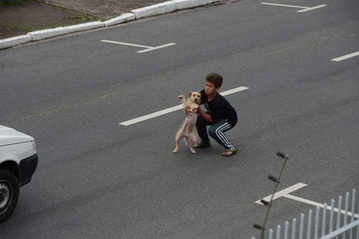Jean Fernandes 11 years old rescues a dog Brazil accident 