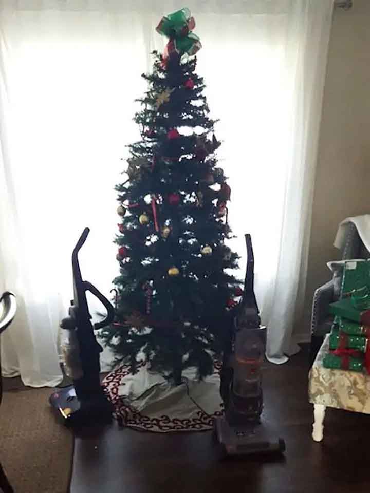 geniuses protect Christmas tree cats dogs 