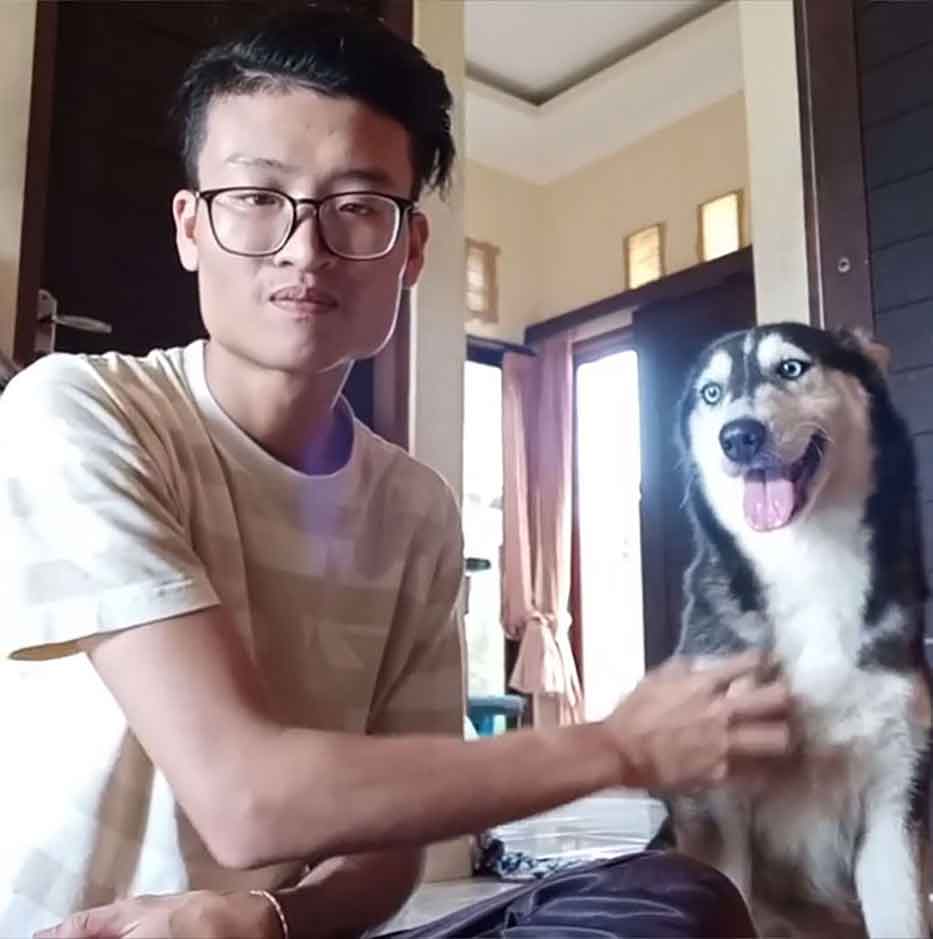 Husky Dog Hope Malnourished Like Skeleton Rico Soegiarto transformation