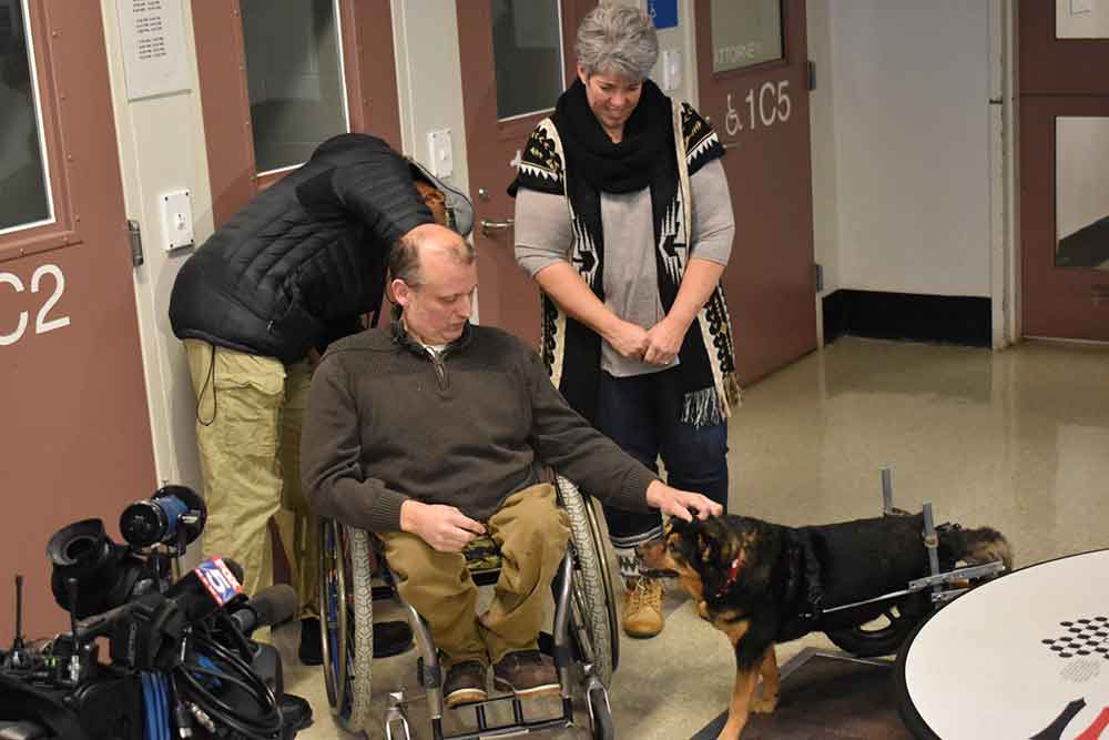 Bandit disabled dog adopted