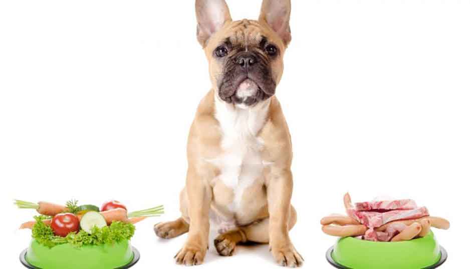 Benefits Homemade Dog Food