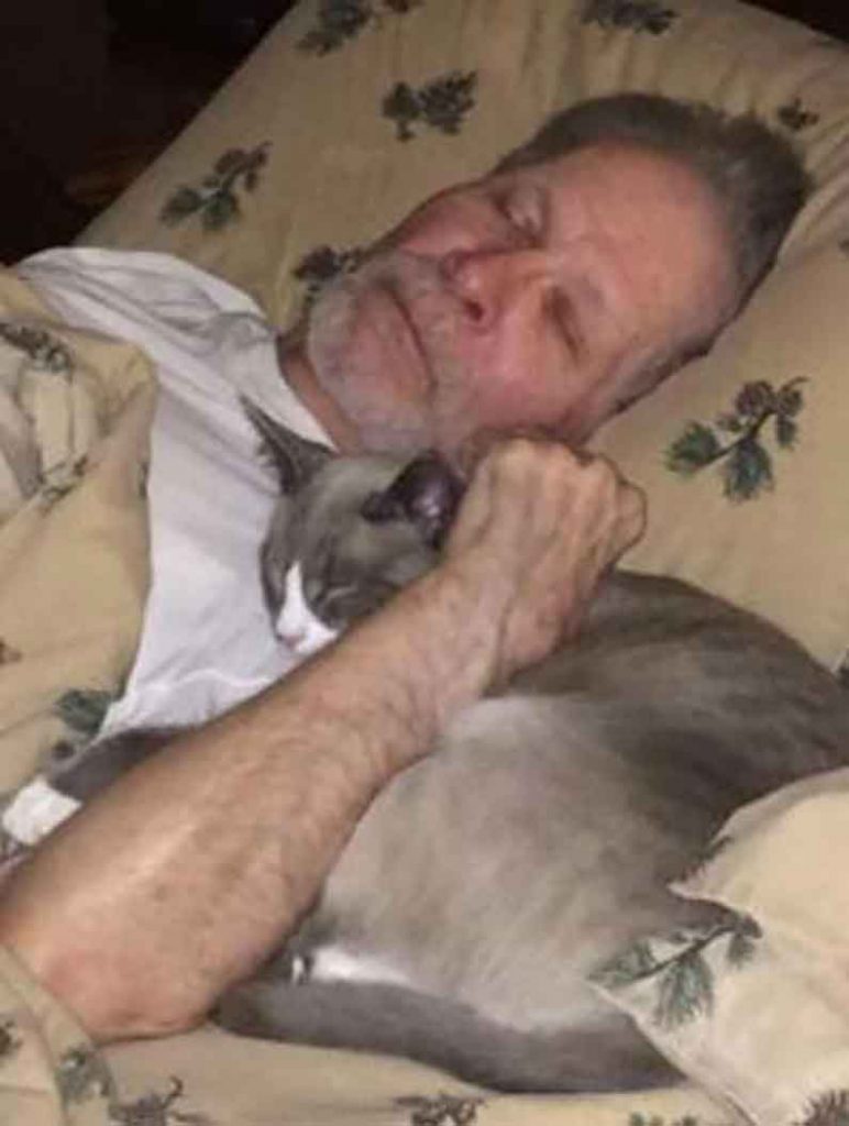 Bob Mooshu cat spends day comforting Father