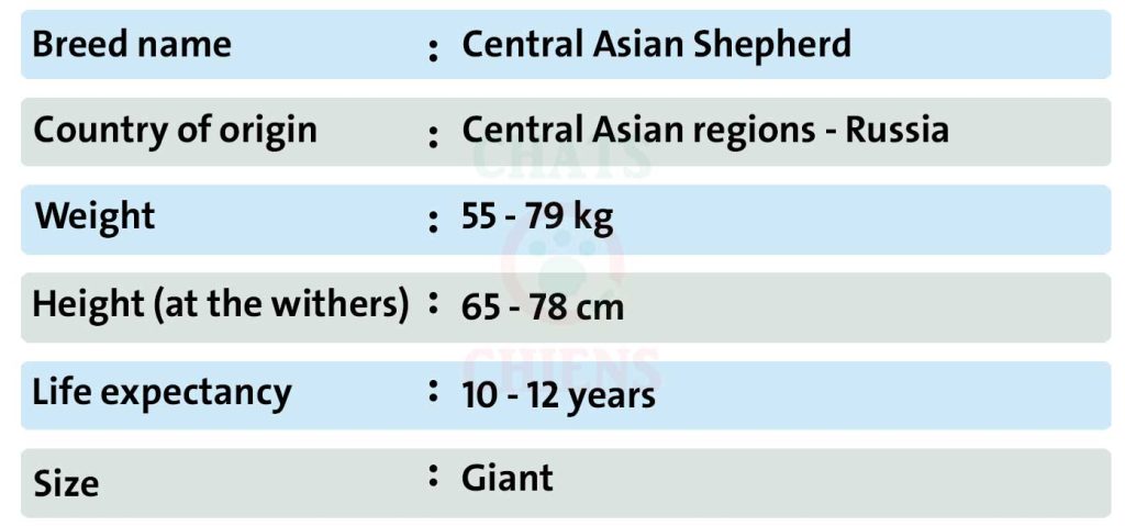 Dog sheet Central Asian Shepherd