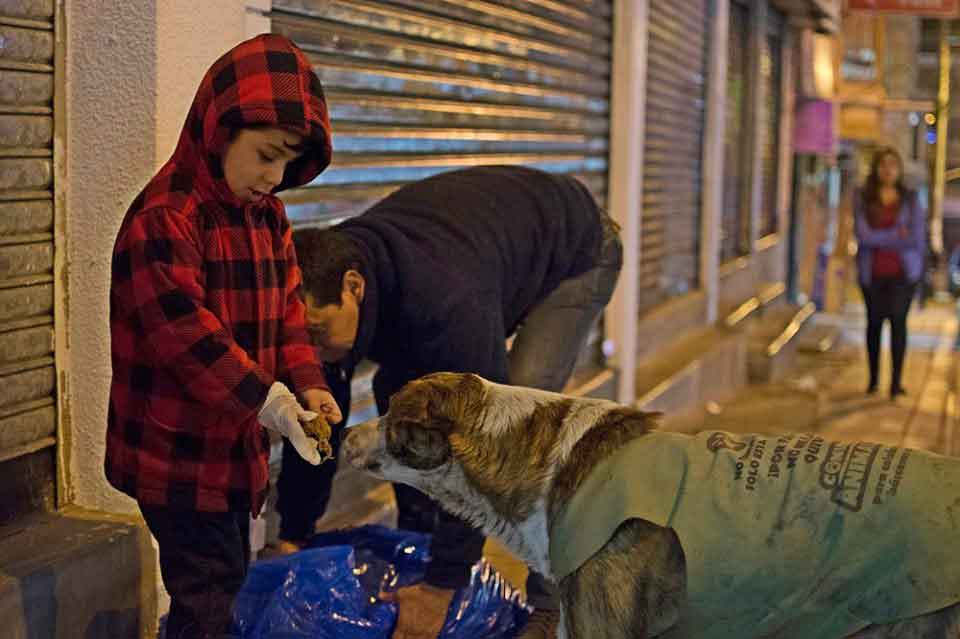 Fernando man resigns work care stray dogs