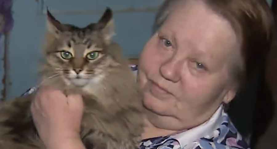 Masha Street cat rescues abandoned baby