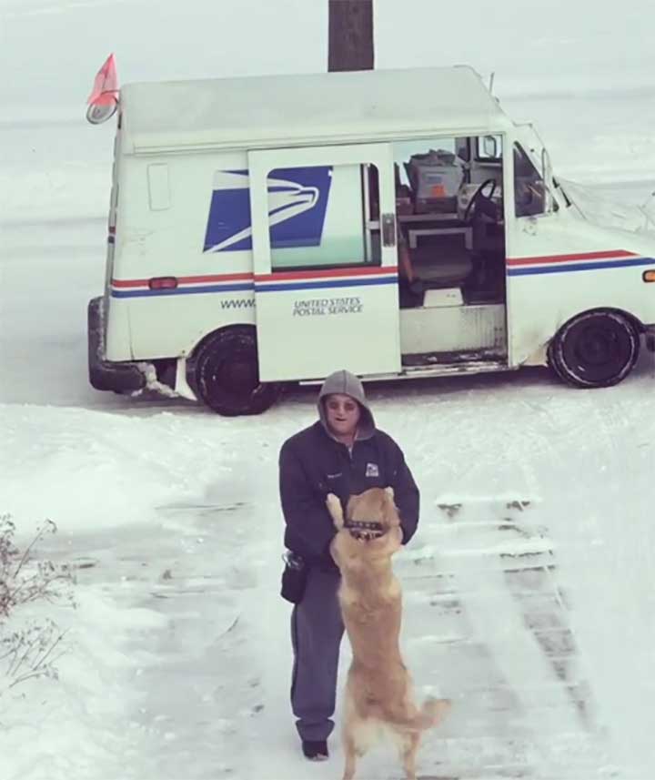 Postman and Moose