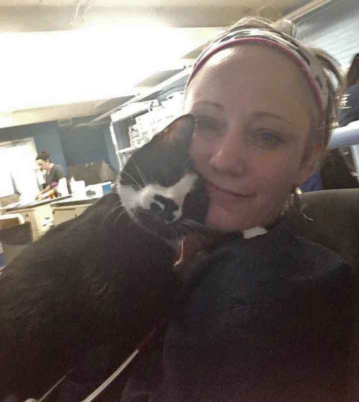 Zorro cat refuge embraces hugs everyone