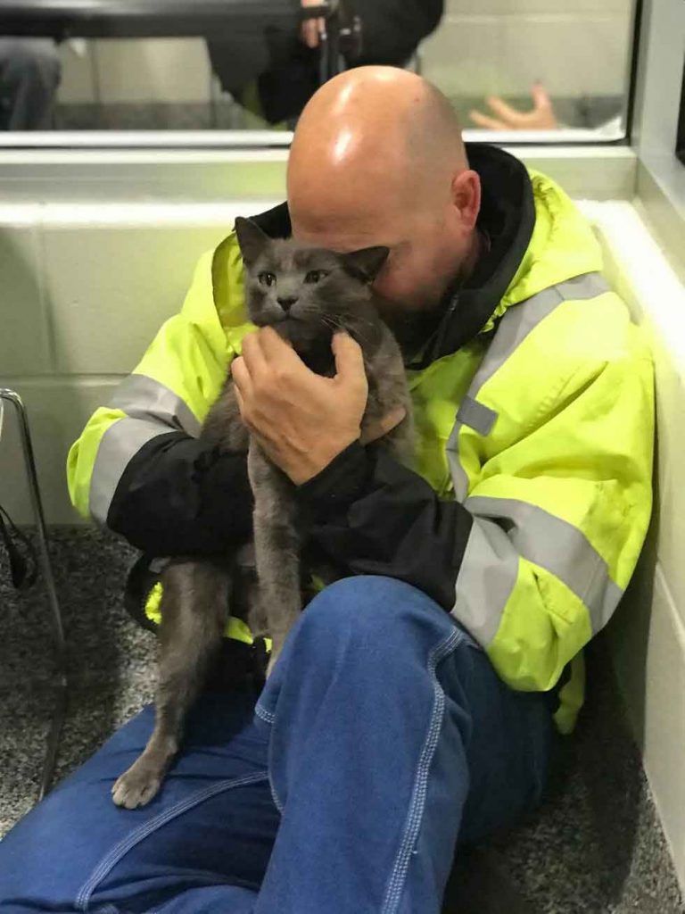 truck driver cries cat return after month search