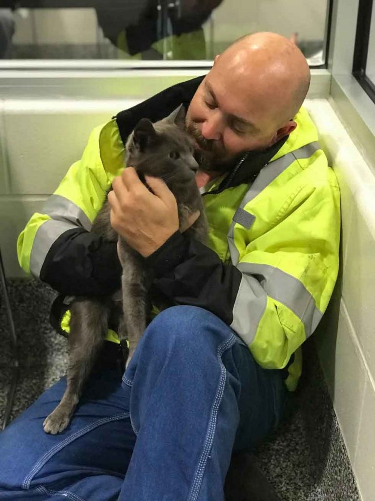 truck driver cries cat return after month search