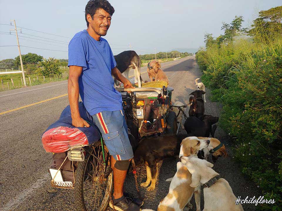 Edgardo walks the streets rescuing dogs