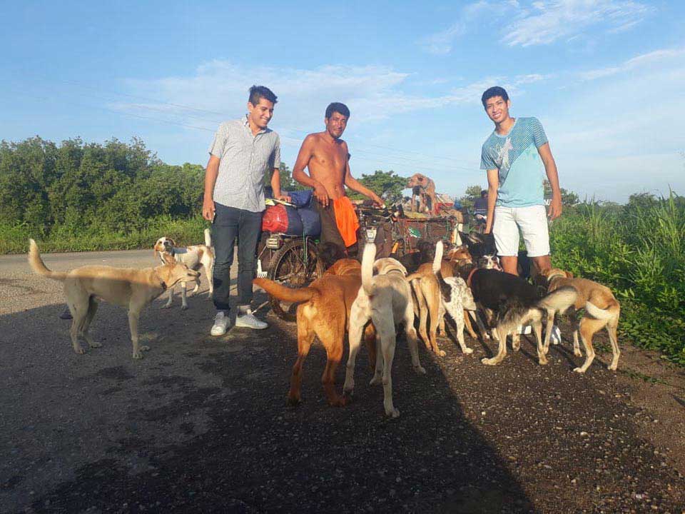 Man rescues dogs on his tricycle