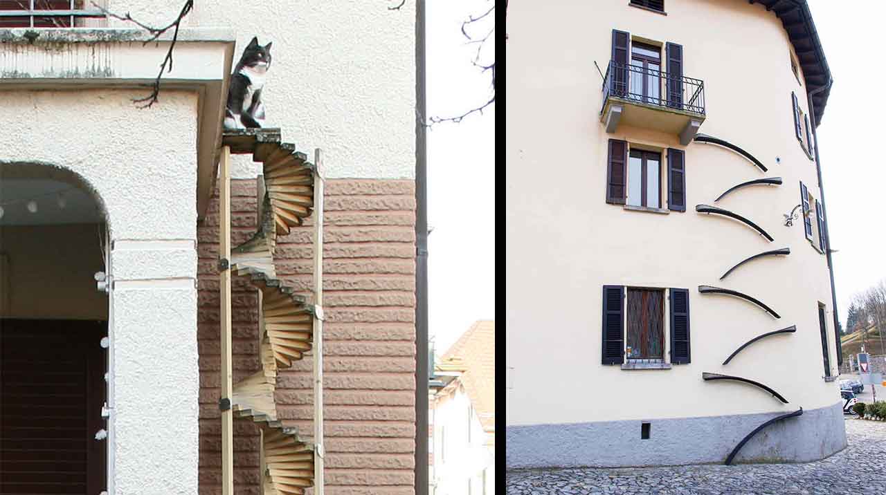 switzerland ladders allowing cats go out return