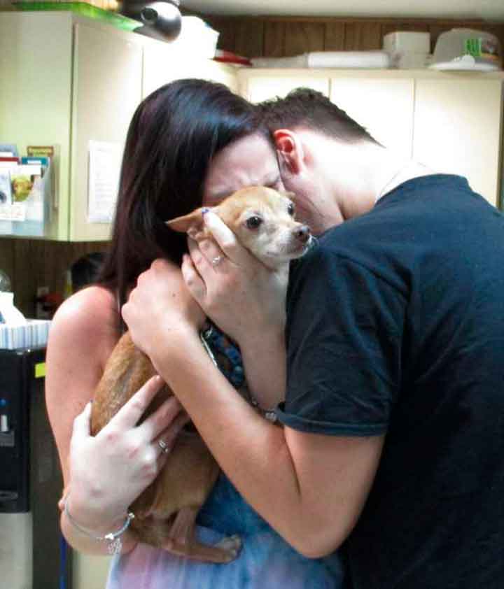 Alex dog reunites family after six years