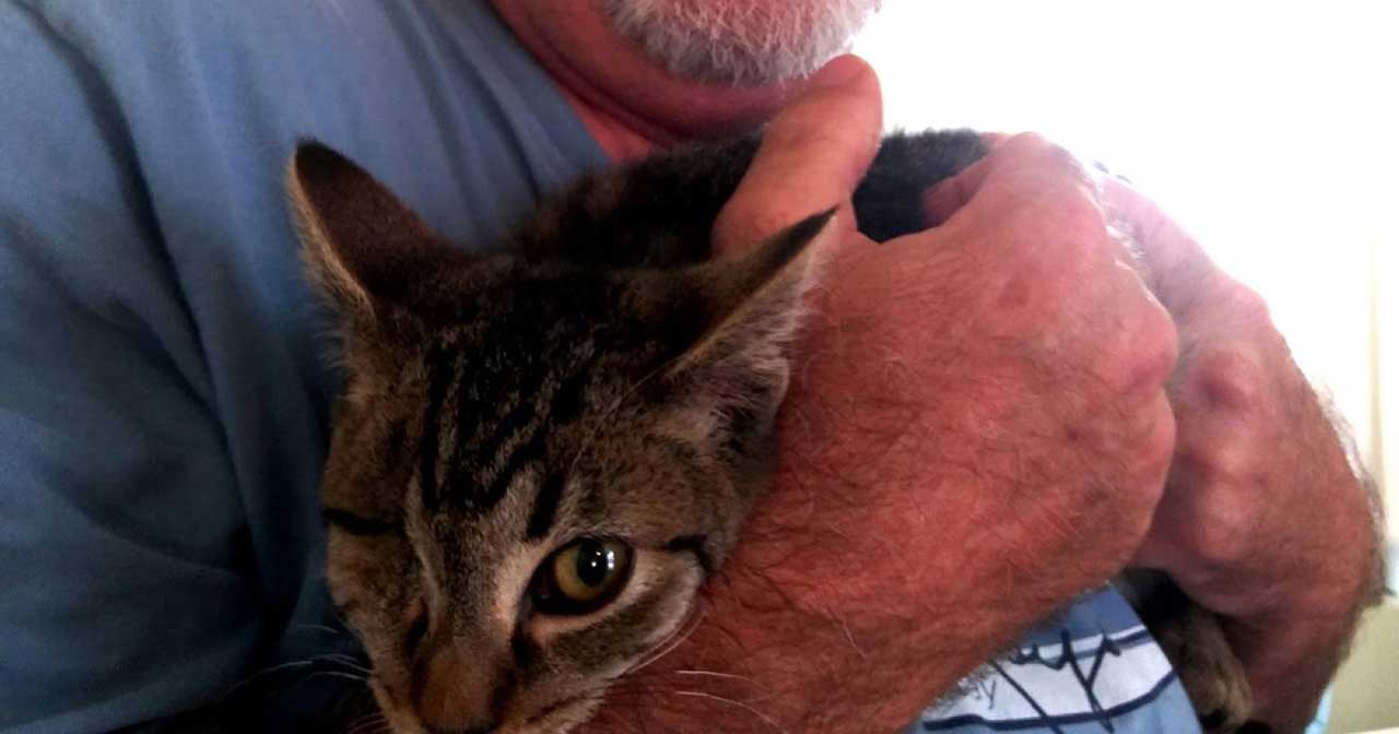one eyed man adopts cat