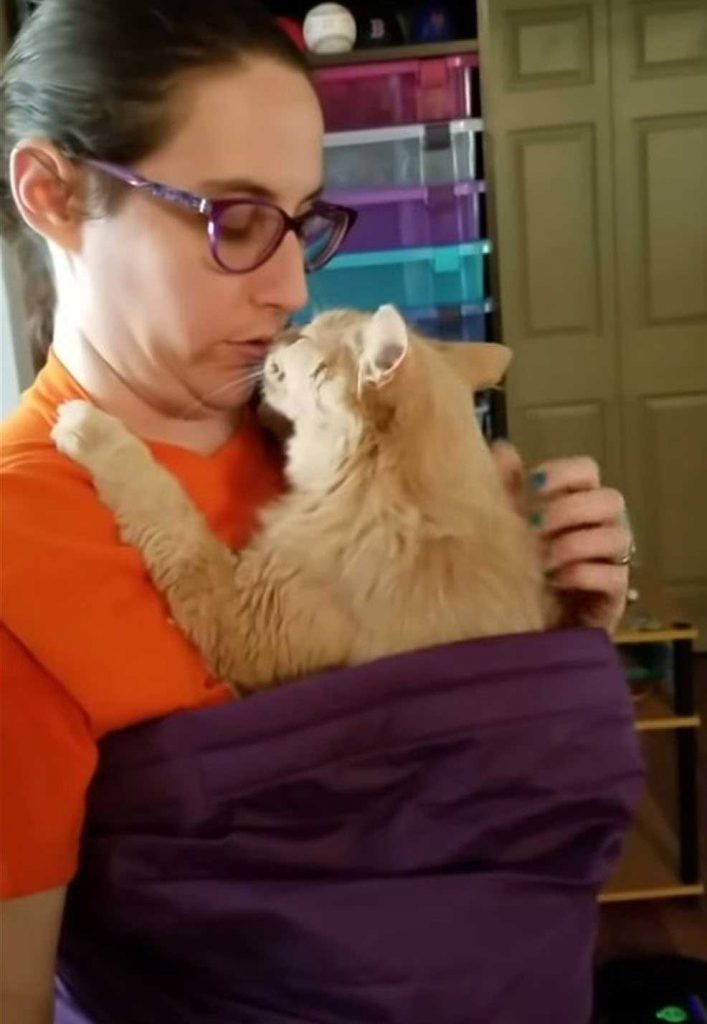 Huggs Rescue Cat Thanks Every Day Hugs