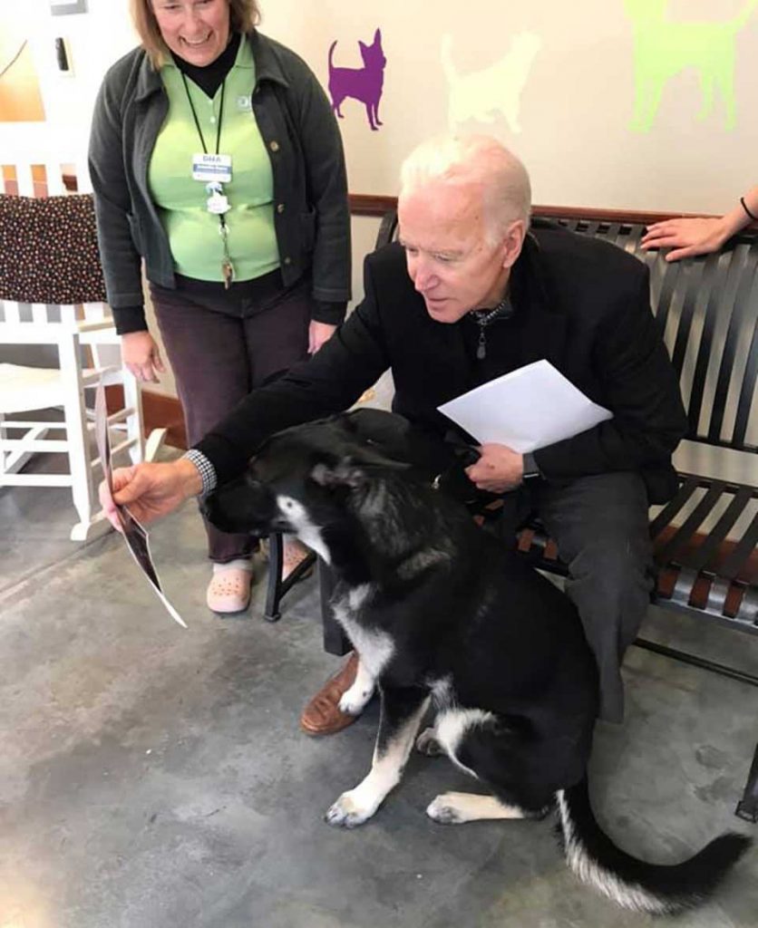 Major Joe Biden Dog