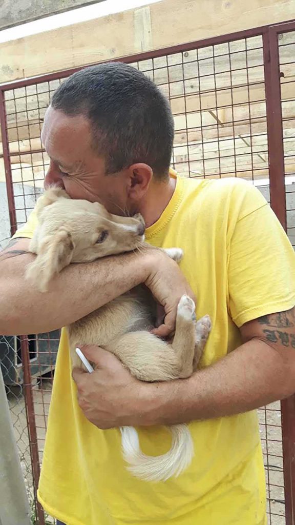 Pesic Man Cares More 750 Dogs Shelter