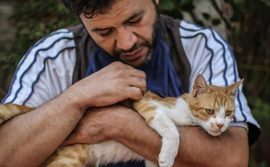 Man returns warzone save abandoned cats