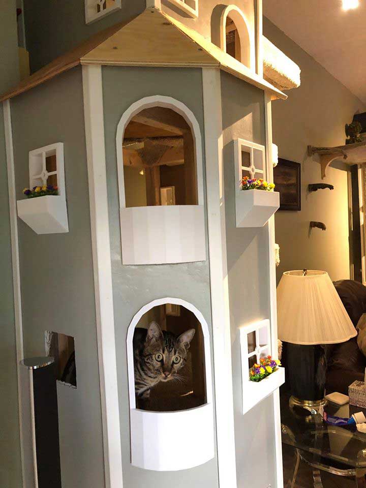 Man building custom towers for cats