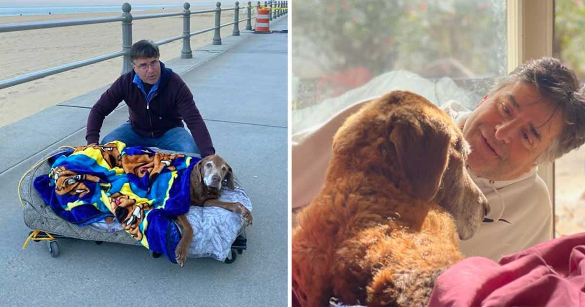 man builds mobile bed dog 16 years