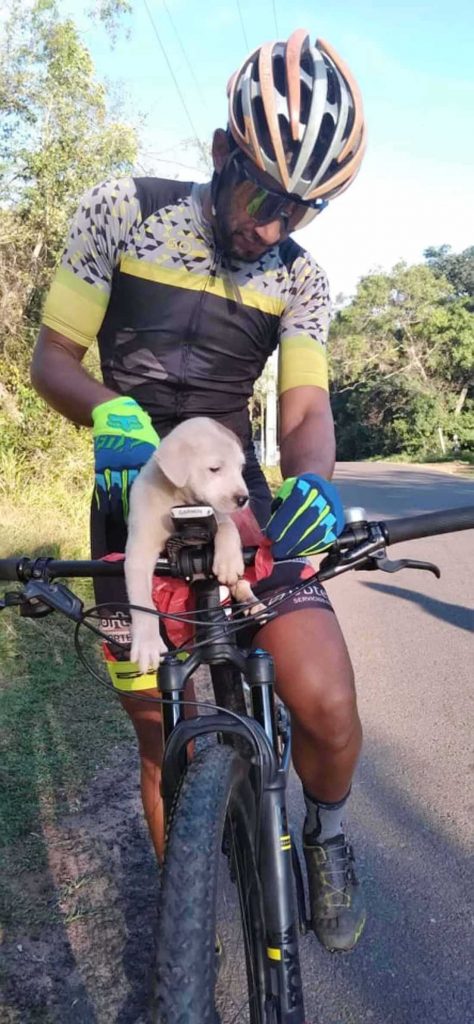 cyclist puppy side road changes life