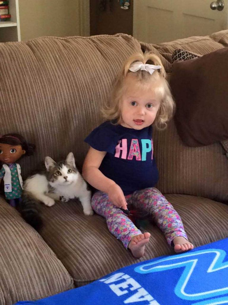 girl lost arm adopts kitten missing limb