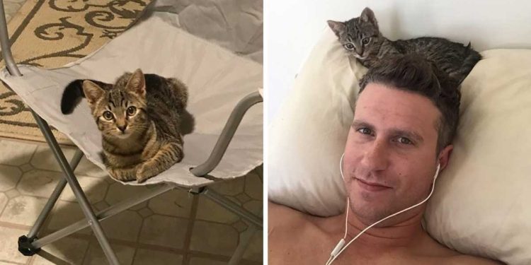man comes home and finds a cat sitting in his chair and thats how he got a cat