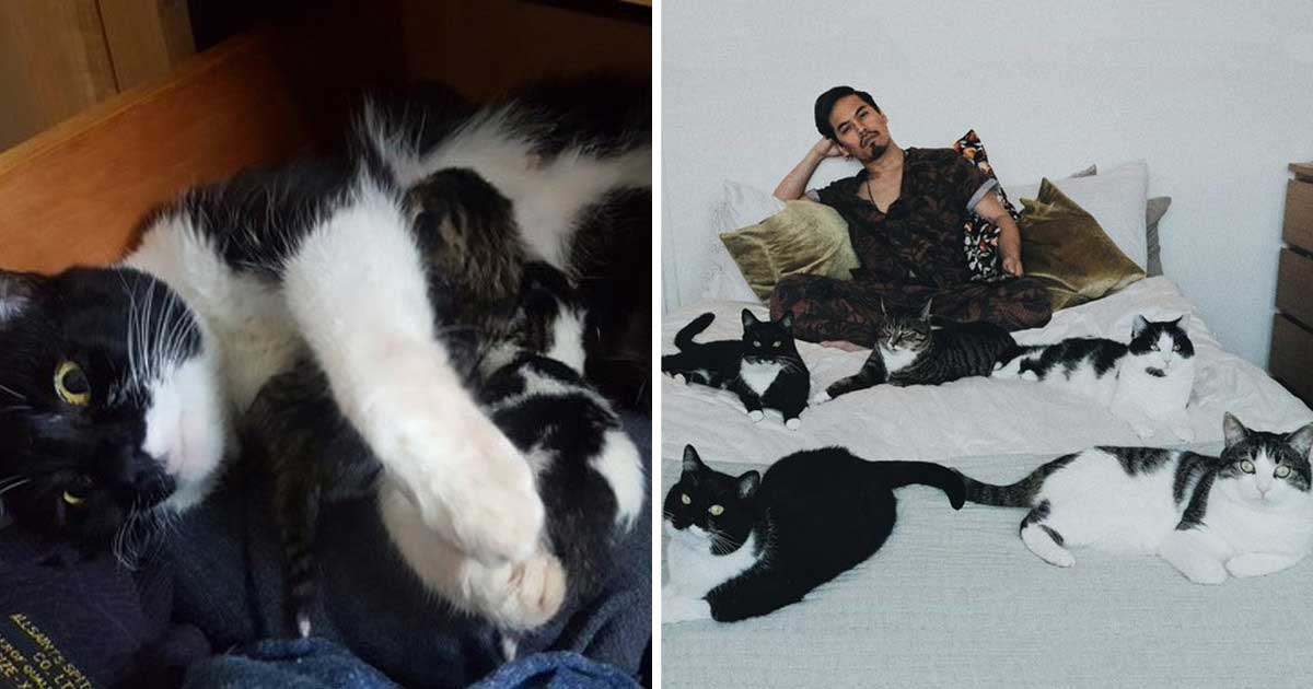 man did not plan to have cat adopt 5