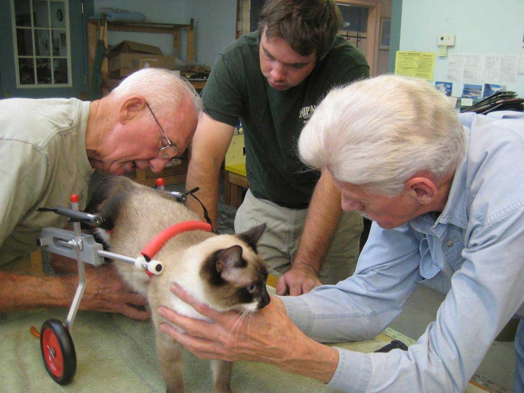 retired veterinarian manufactures disabled animal wheelchairs