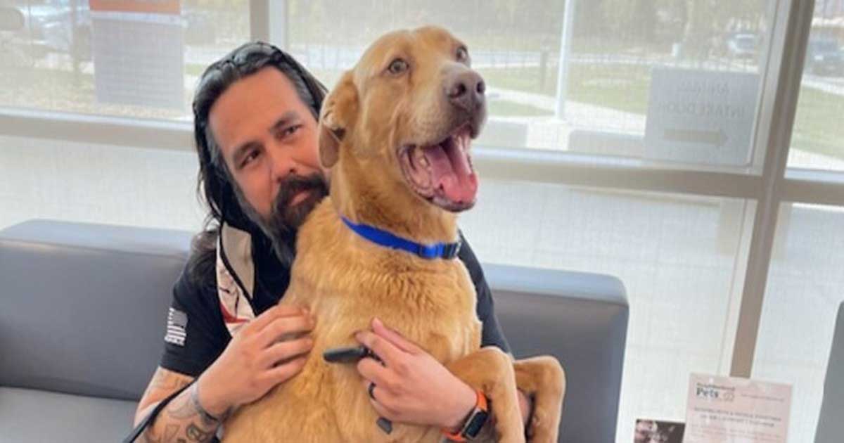 Dog lost 5 five years found 823 Miles