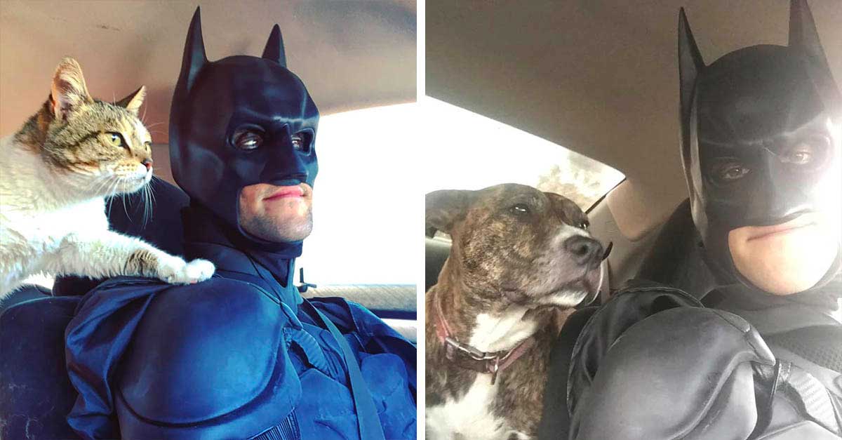 real life batman costume Saving animals