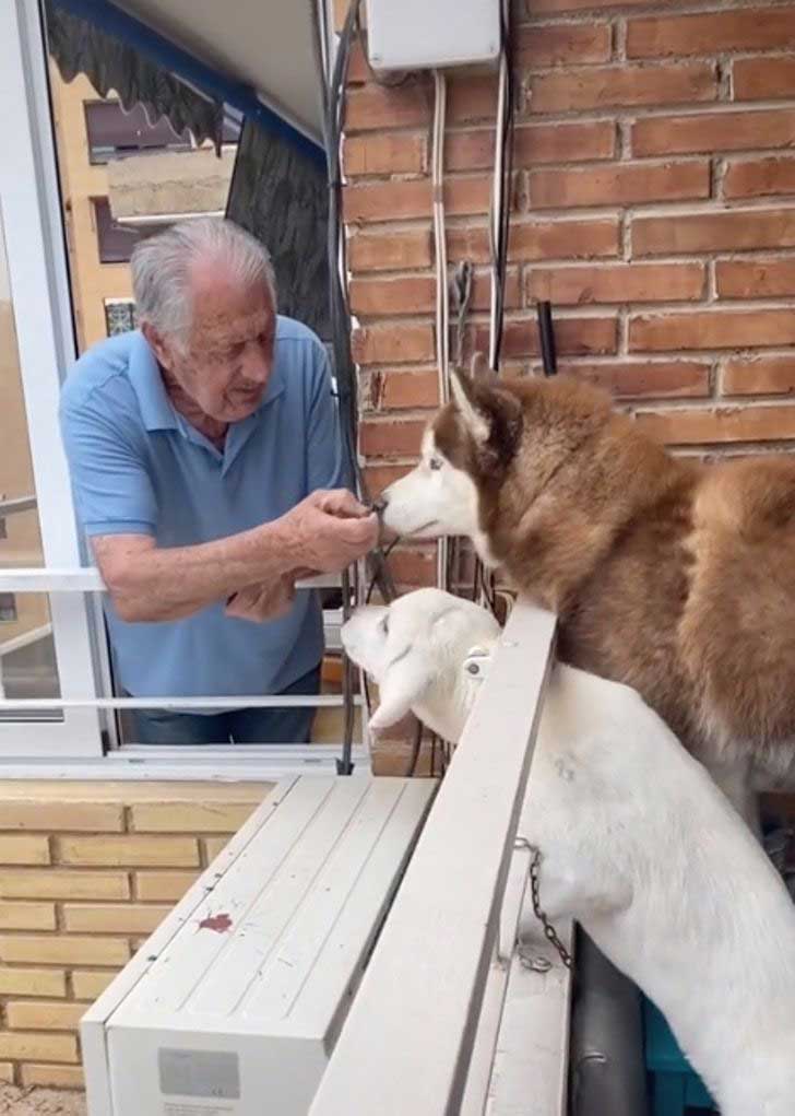 grandfather approaches dogs neighbor give treats