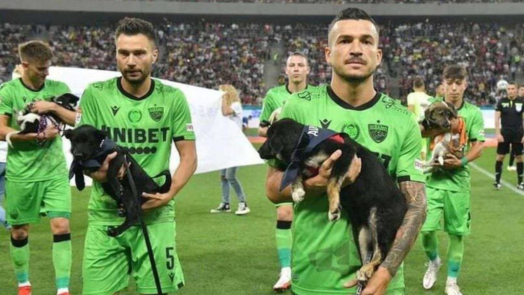 Romanian federation football dogs match adoption