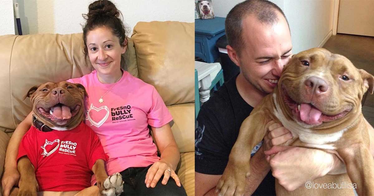 dog not stopped smiling has been adopted