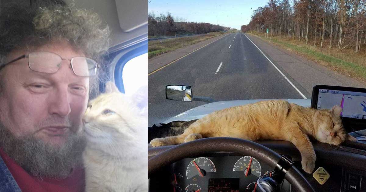 lonely trucker adopts stray cat