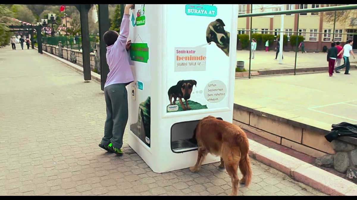 machines food stray dogs plastic bottles