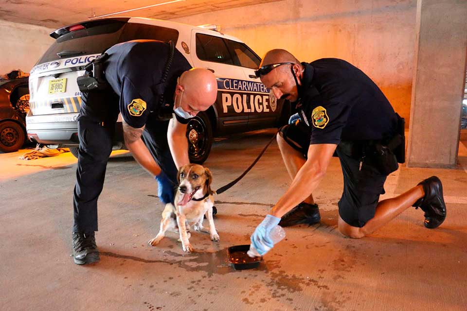 officers smash car window dog barked help