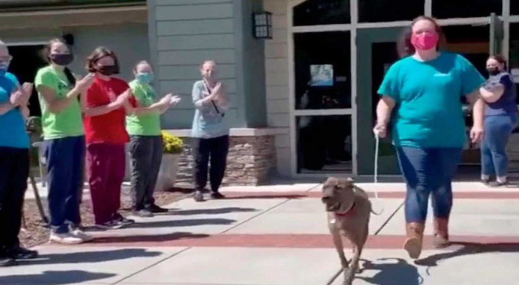 oldest shelter dog adopted receives standing ovation