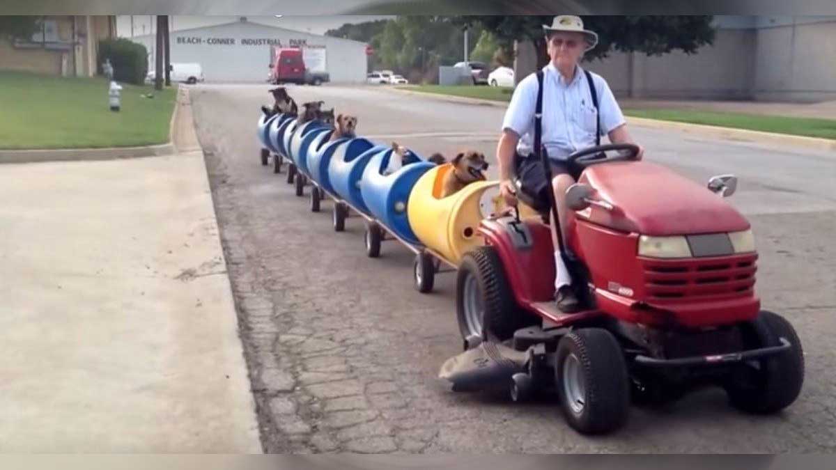 retired man built fortune train walking dogs