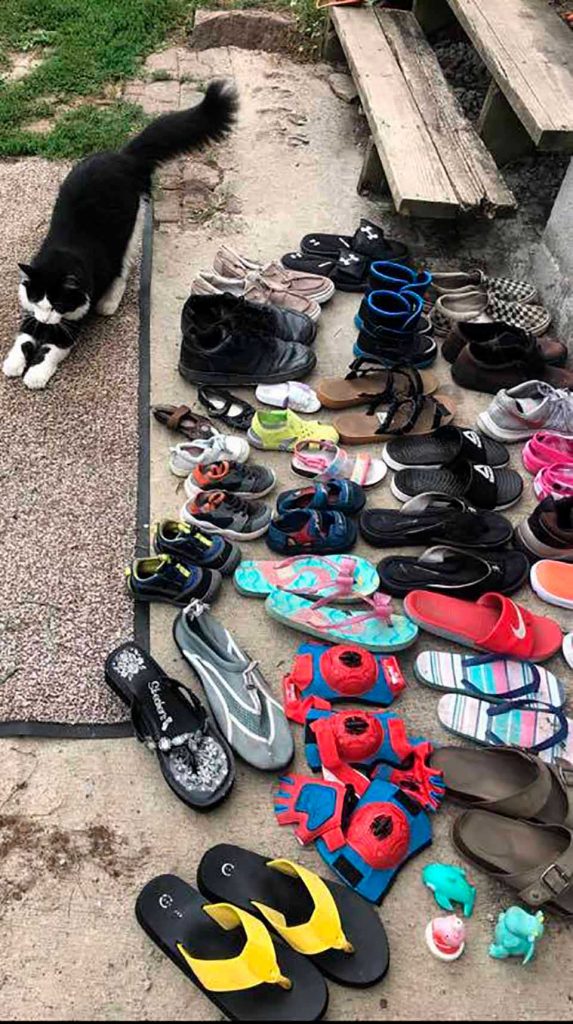woman discovers cat steals shoes neighborhood