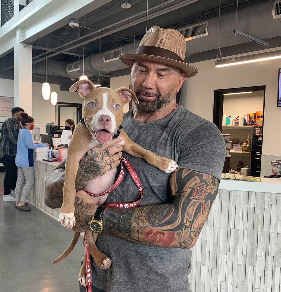 Dave Bautista adopts dog found tied up
