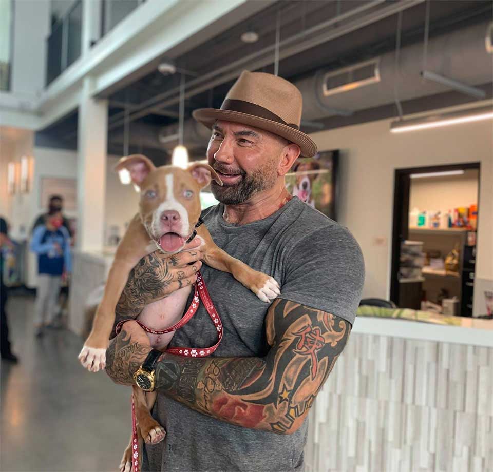 Dave Bautista adopts dog found tied up