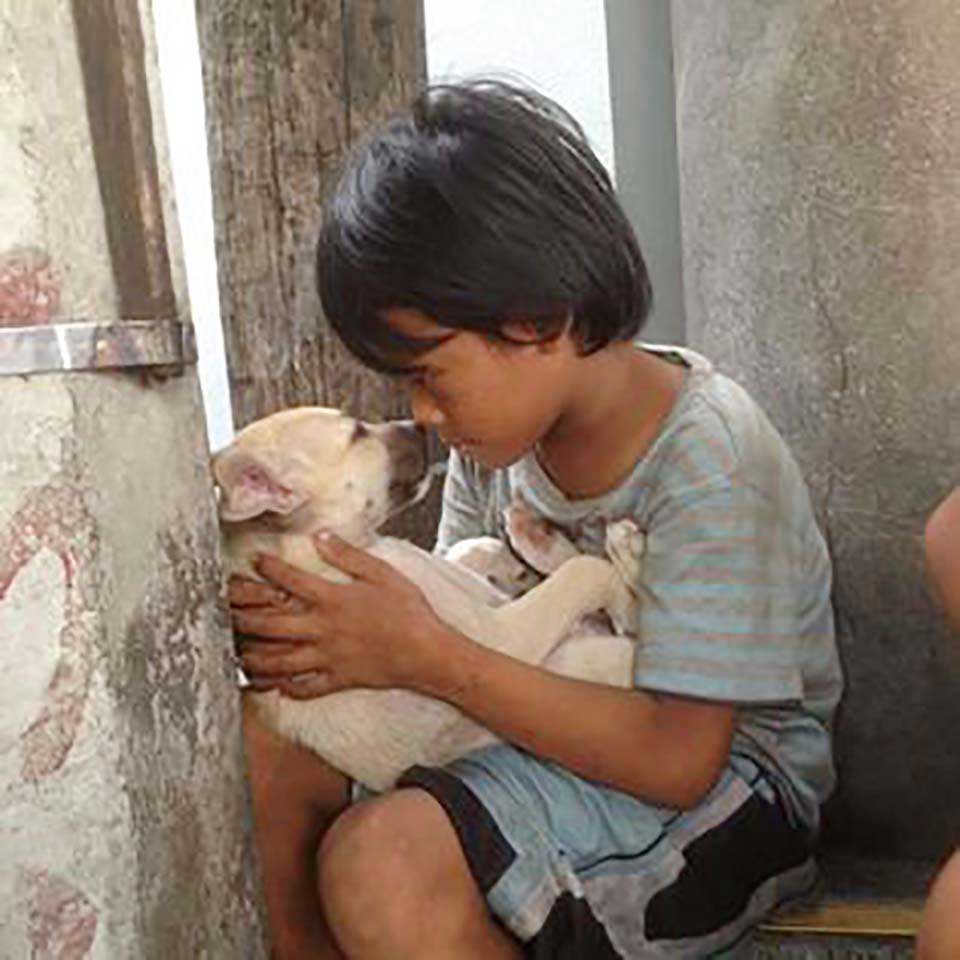 abandoned boy finds comfort dog protects