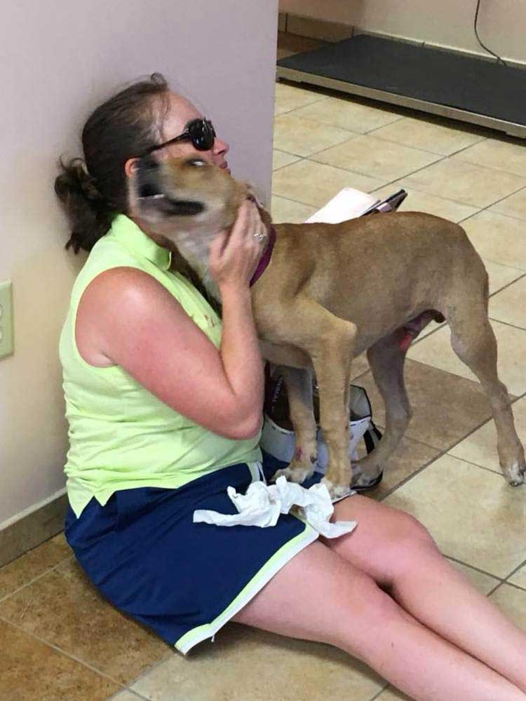 cyclist finds injured dog carried his back