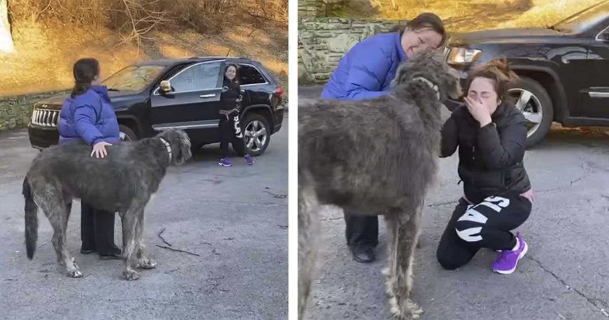 girl finds crying dog thought lost
