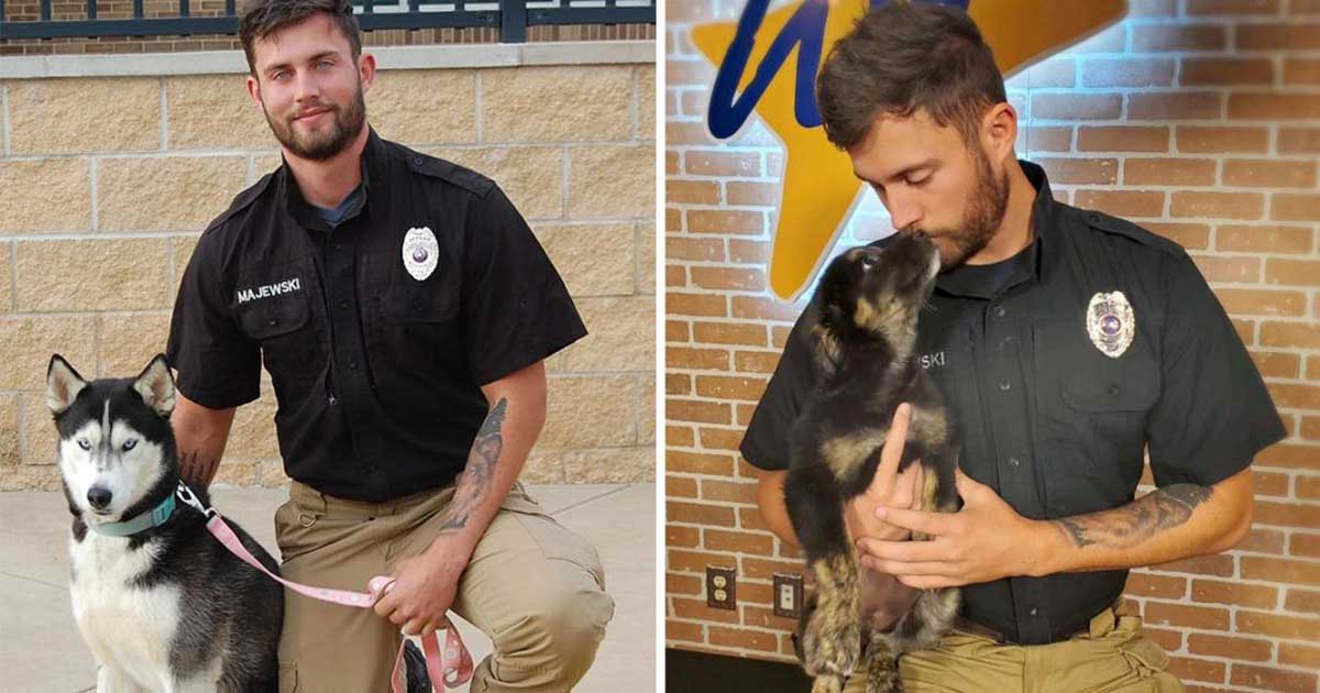 handsome shelter worker receives attention adoption dogs